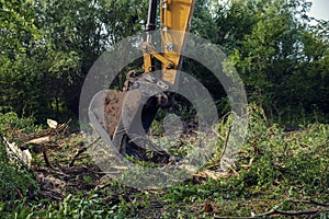 Yellow chain excavators clearing vegetation