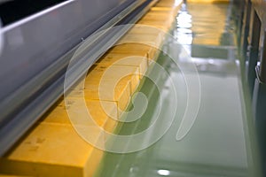 Yellow cheese production line for cheese factory