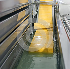 Yellow cheese production line for cheese factory