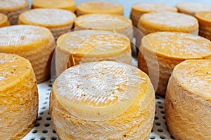 yellow cheese wheels maturing on several months on shelves of a storehouse