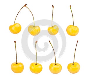 Yellow cherry path isolated