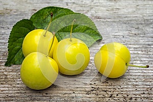 Yellow Cherry plum Prunus cerasifera.