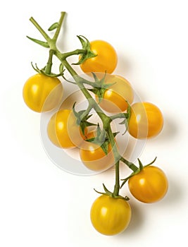 Yellow cherry tomatoes on a twig