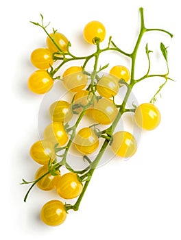 Yellow cherry tomatoes on a twig
