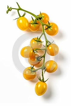 Yellow cherry tomatoes on a twig