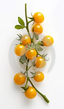 Yellow cherry tomatoes on a twig