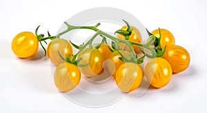 Yellow cherry tomatoes on a twig