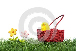 Yellow chick inside easter basket