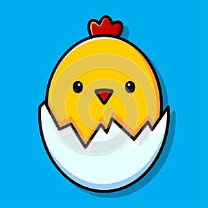 A yellow chick peeks out of an egg half. Vector illustration