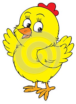 Yellow chick (vector clip-art)