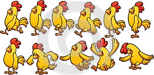 Yellow chicken animation