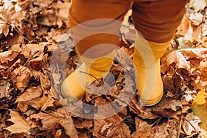 Yellow children& x27;s rubber boots on yellow foliage. Fall and Autumn concept, close-up. Walk in the autumn forest on a