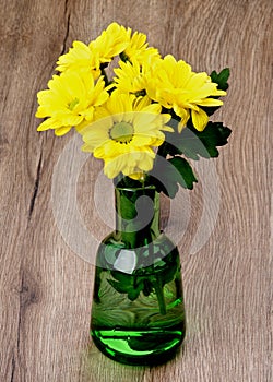 Yellow Chrysanthemum