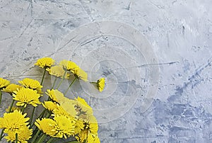 Yellow chrysanthemum blossom flower borde holiday anniversary beauty on concrete background frame photo