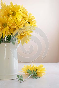 Yellow chrysanthemum flower bouquet, stil life floral background