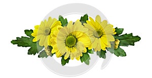 Yellow chrysanthemum flowers in a floral arrangement isolated