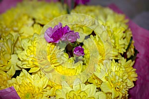 Yellow chrysanthemum mixed with pink carnation bouquet with selective focus on yellow and pink flower