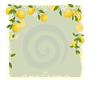 Yellow citrus tropical fruits.Vintage green  frame.  Lemon, leaves and flowers. Tropical clip art illustration. Green background.