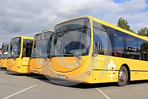 Yellow City Buses