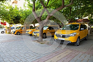 Yellow city taxis stand in the shade of trees