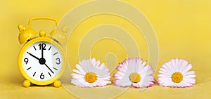 Yellow clock and daisy flowers, spring forward, springtime, summer concept