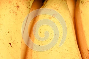 Yellow closeup scene of bananas