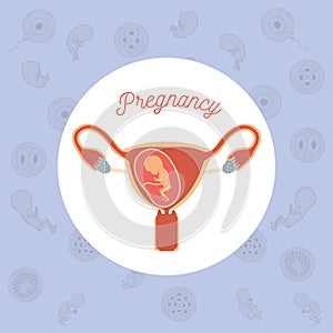 Yellow color background pattern pregnancy icons with fetus human growth in placenta trimestrer in female reproductive