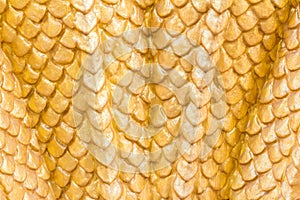 Yellow color Dragon texture.