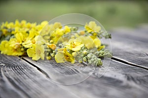 yellow color mullein on the wooden surface