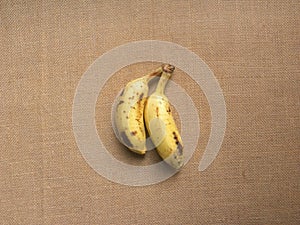 Poovan bananas photo