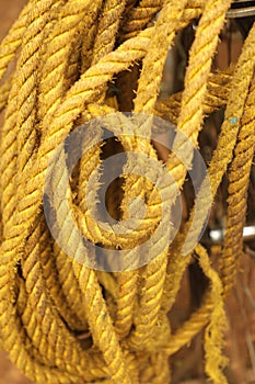 Yellow Color Rope Macro shot photo