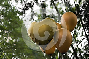 Yellow colored balloons - birthday party and revelation tea