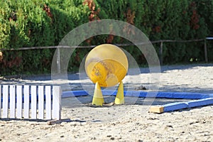 Yellow colored physioball on the sand