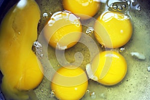 Yellow colored semi liquid round shaped egg yolk close display. photo
