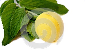 The yellow colour lamon wth green mint isolated in white background