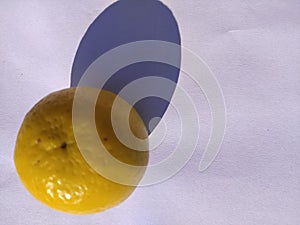 Yellow coloured lemon on white background.