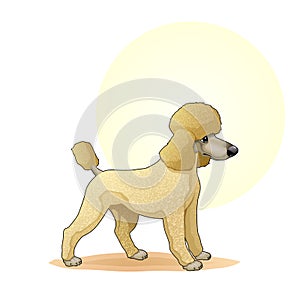 Yellow coloured puppy dog amazing vector illustration. Cute cartoon dogs vector puppy pet characters breads doggy illustration