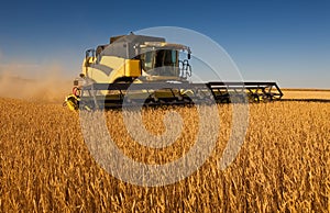 Yellow combine harvester