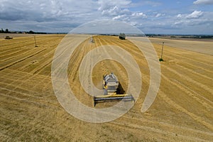 Yellow combine harvester harvests wheat from the field. Photo from a drone.