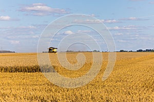 Yellow combine harvester on a wheat field with blue sky