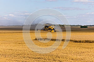 Yellow combine harvester on a wheat field with blue sky