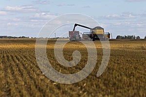 Yellow combine harvester on a wheat field with blue sky