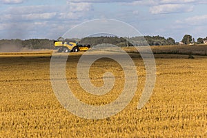 Yellow combine harvester on a wheat field with blue sky