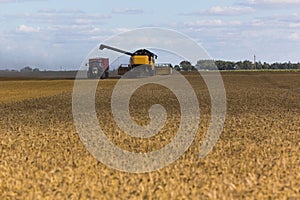 Yellow combine harvester on a wheat field with blue sky