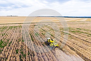 Yellow combines harvests rye