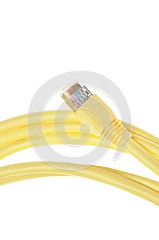Yellow computer network cable plug