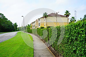Yellow condos or apartments and green ivy wall