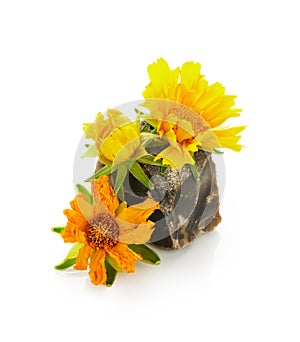 Yellow coreopsis flowers with stone isolated on white