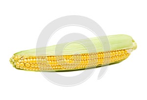 Yellow corn