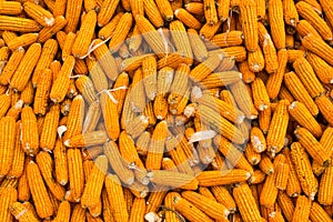 Yellow corn